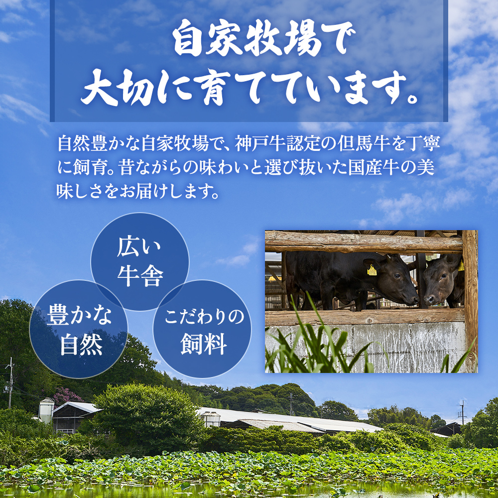 【神戸牛・但馬牛】ホルモンミックス 500g 小腸 大腸 ミノ ハチノス センマイ アカセン