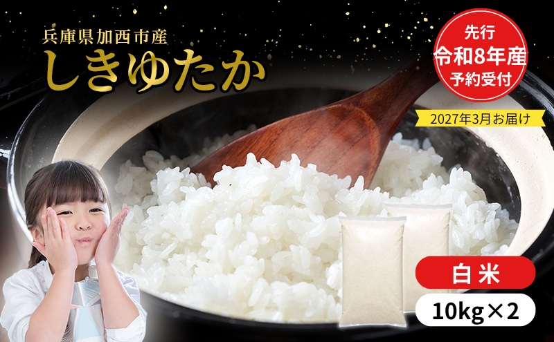 【令和8年産 先行受付】しきゆたか 白米 20kg (10kg×2)《2027年3月発送》