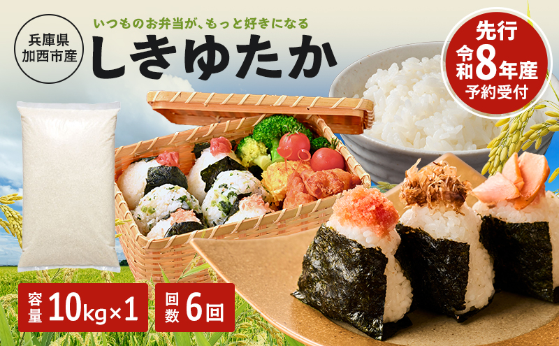 定期便【令和8年 先行受付】しきゆたか 白米 10kg 6か月連続お届け
