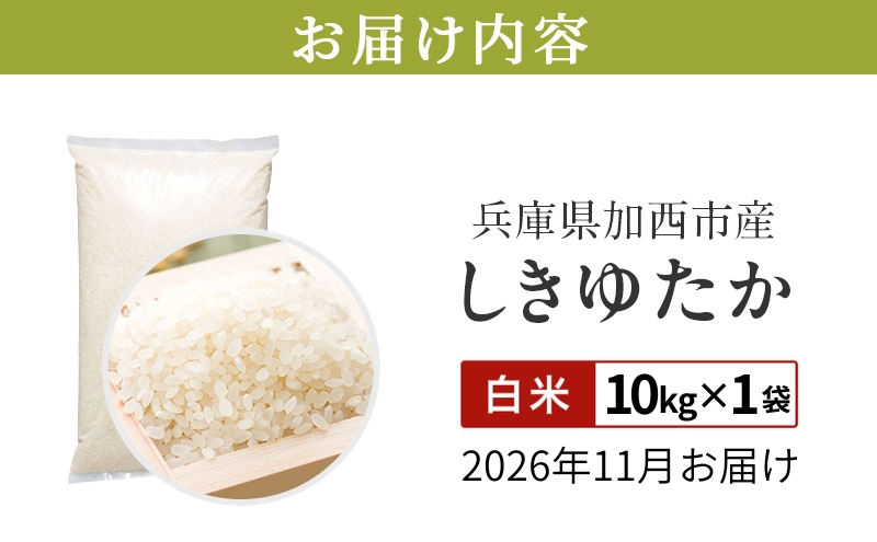 【令和8年産 先行受付】しきゆたか 白米 10kg《2026年11月発送》