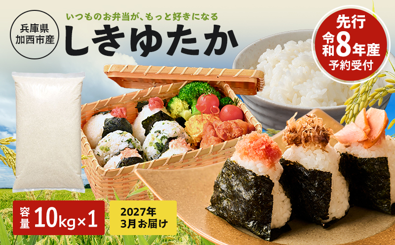 【令和8年産 先行受付】しきゆたか 白米 10kg《2027年3月発送》