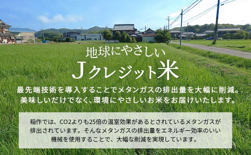 【令和8年産 先行受付】しきゆたか 白米 10kg《2027年3月発送》