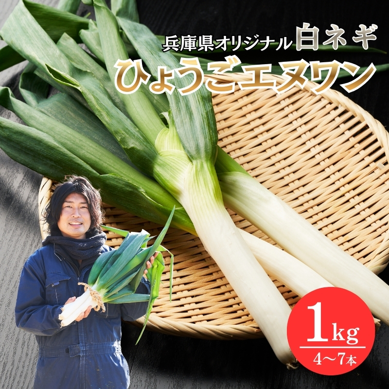 数量限定 テレビで話題！ 極上 ひょうごエヌワン 白ネギ 1kg 4～7本 エヌワン ねぎ 長ネギ 兵庫県 加西市