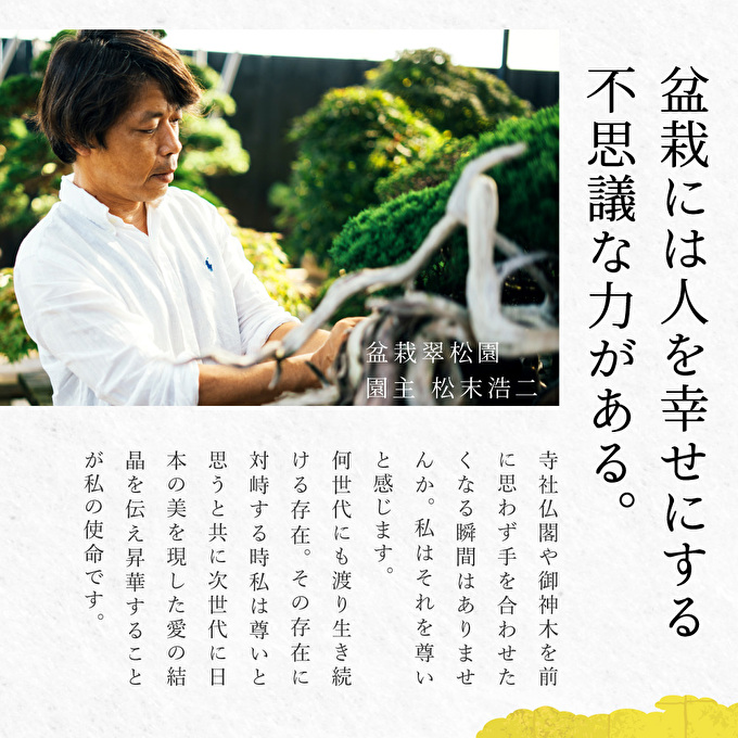 盆栽 翠松園 商品クーポン券 300,000円分 植物 観葉植物 園芸 商品券 兵庫県