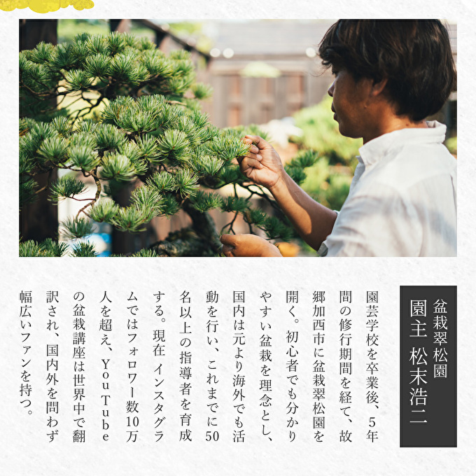 盆栽 翠松園 商品クーポン券 90,000円分 植物 観葉植物 園芸 商品券 兵庫県