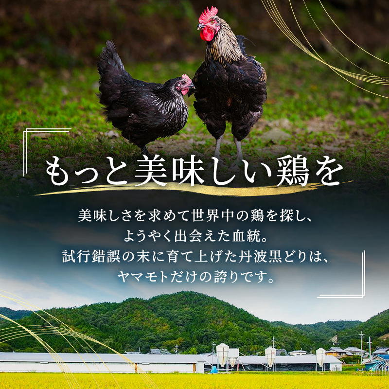 地鶏 丹波 黒どり モモ 240g×5P(計1.2kg) 切り身 小分け 鶏肉 鶏 唐揚げ 焼鳥 キャンプ BBQ アウトドア もも肉