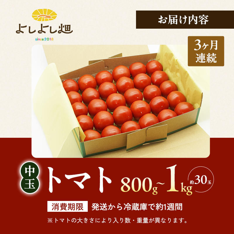 【3ヶ月連続 お届け】 よしよし畑のあま～い トマト ( 中玉トマト ) 800g ～ 1kg 計約3kg 程度 新鮮 産地直送  とまと 頒布会 定期便 おいしい おすすめ ギフト お取り寄せ