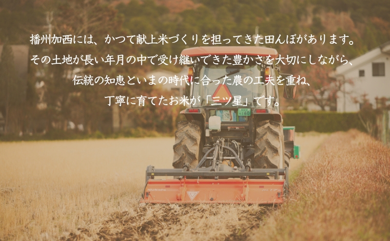 食べたいお米 Alatana 米 「三ツ星」 白米 10kg 精米 お米