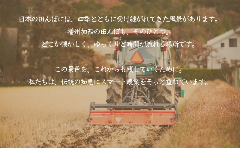 食べたいお米 Alatana 米 「一ツ星」 白米 5kg 精米 お米