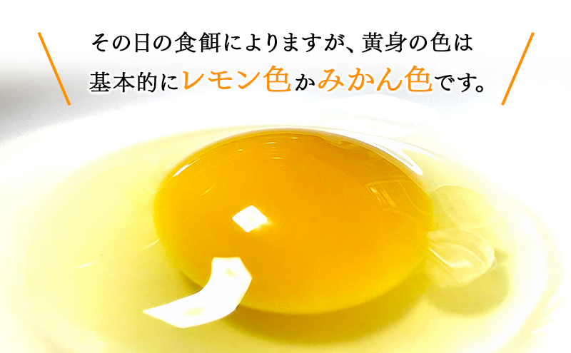 卵 こだわり餌の平飼い鶏の卵 20個(10個×2)パック(有精・無精卵各10個)Mサイズ以上 鶏卵 たまご 平飼い