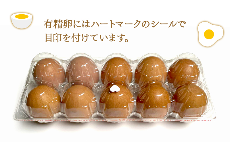 卵 こだわり餌の平飼い鶏の卵 20個(10個×2)パック(有精・無精卵各10個)Mサイズ以上 鶏卵 たまご 平飼い