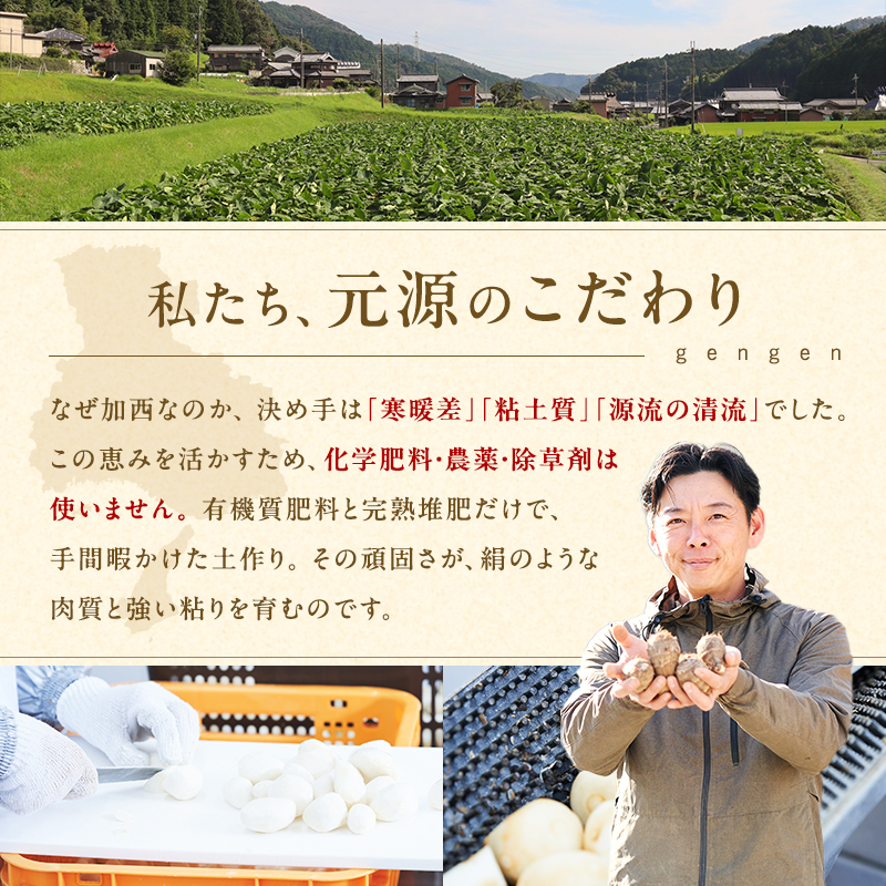 里芋 冷凍 小分け 絹里芋 220g 3パック 兵庫県産 野菜 根菜 粘り 一口サイズ 皮むき おつまみ 時短 おでん 煮物 おせち 味噌汁 冷凍野菜 栽培期間中農薬不使用 冷凍配送 取り寄せ 国産 さといも 個包装
