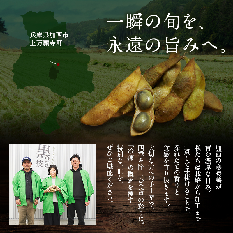 丹波黒枝豆(冷凍)6P