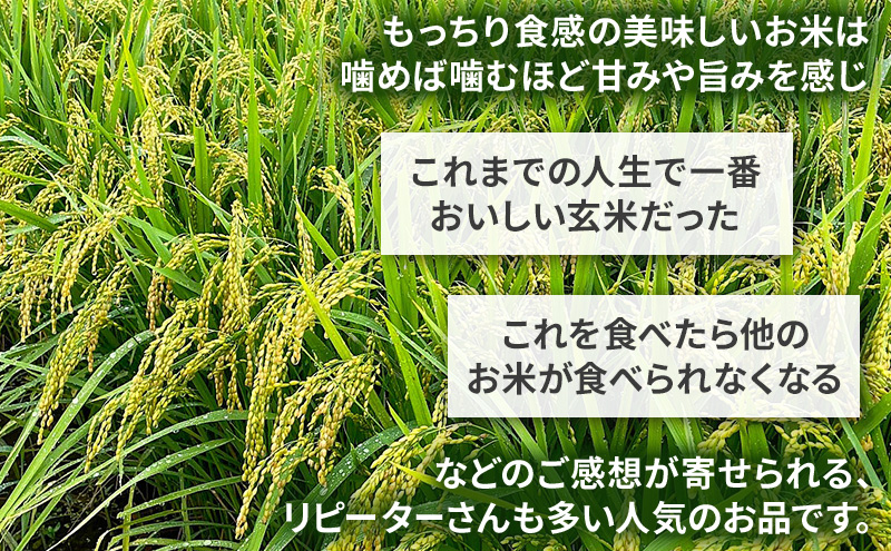 米 コウノトリ舞う田んぼで大自然が育てた