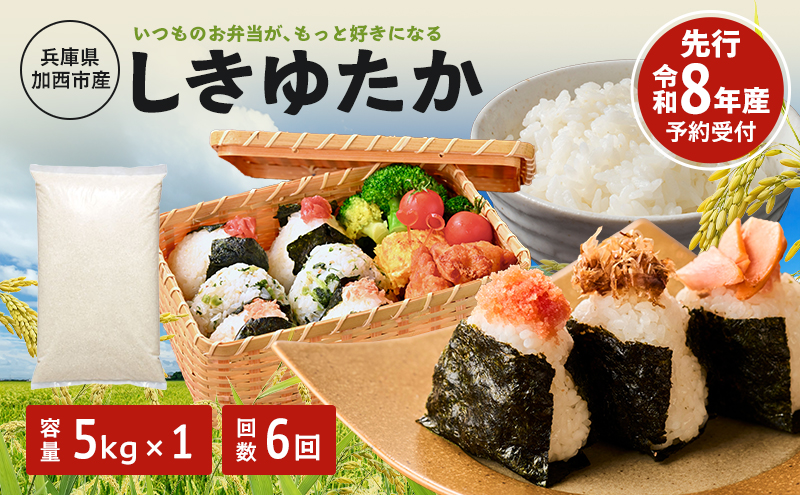 定期便 米 令和8年産 先行受付 しきゆたか 白米 5kg 6か月連続お届け お米 精米 単一原料米 お弁当 おにぎり 冷めても美味しい 農業支援 就労者支援 日用品