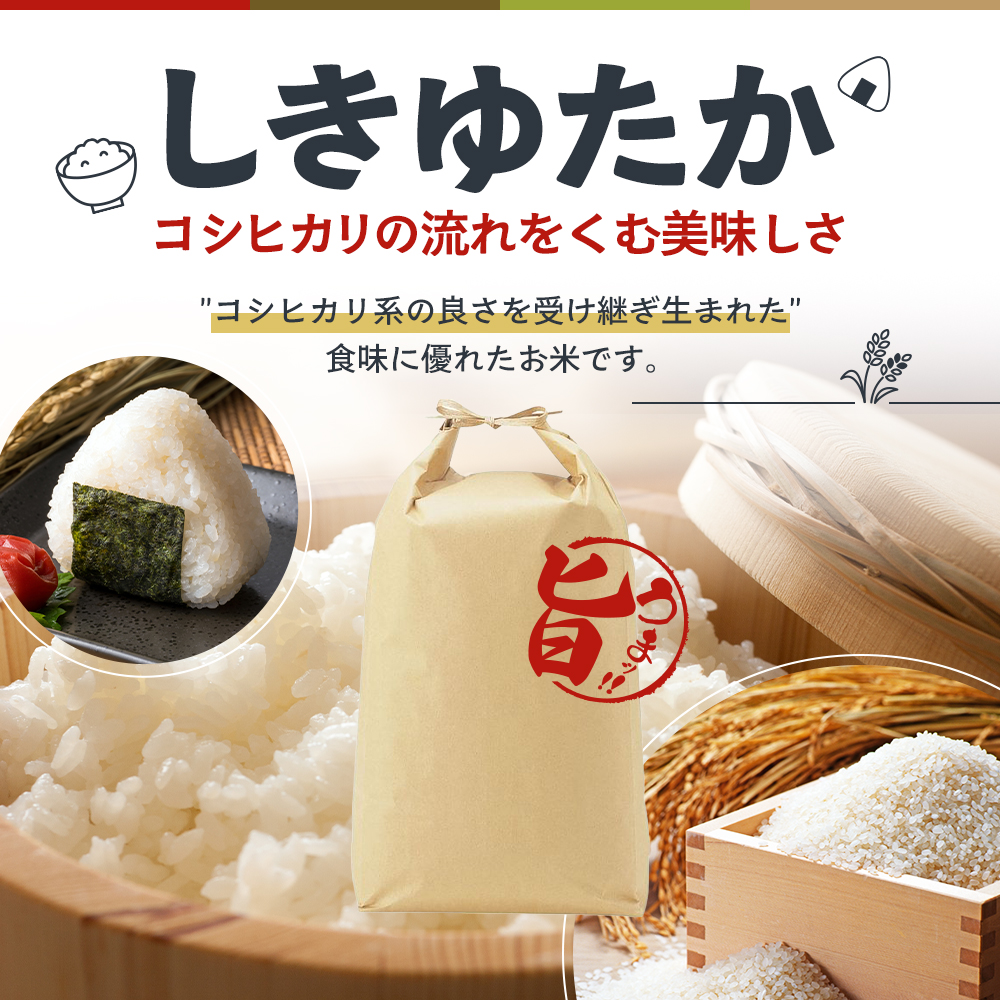 定期便 米 令和8年産 先行受付 しきゆたか 白米 5kg 12か月連続お届け お米 精米 単一原料米 お弁当 おにぎり 冷めても美味しい 農業支援 就労者支援 日用品