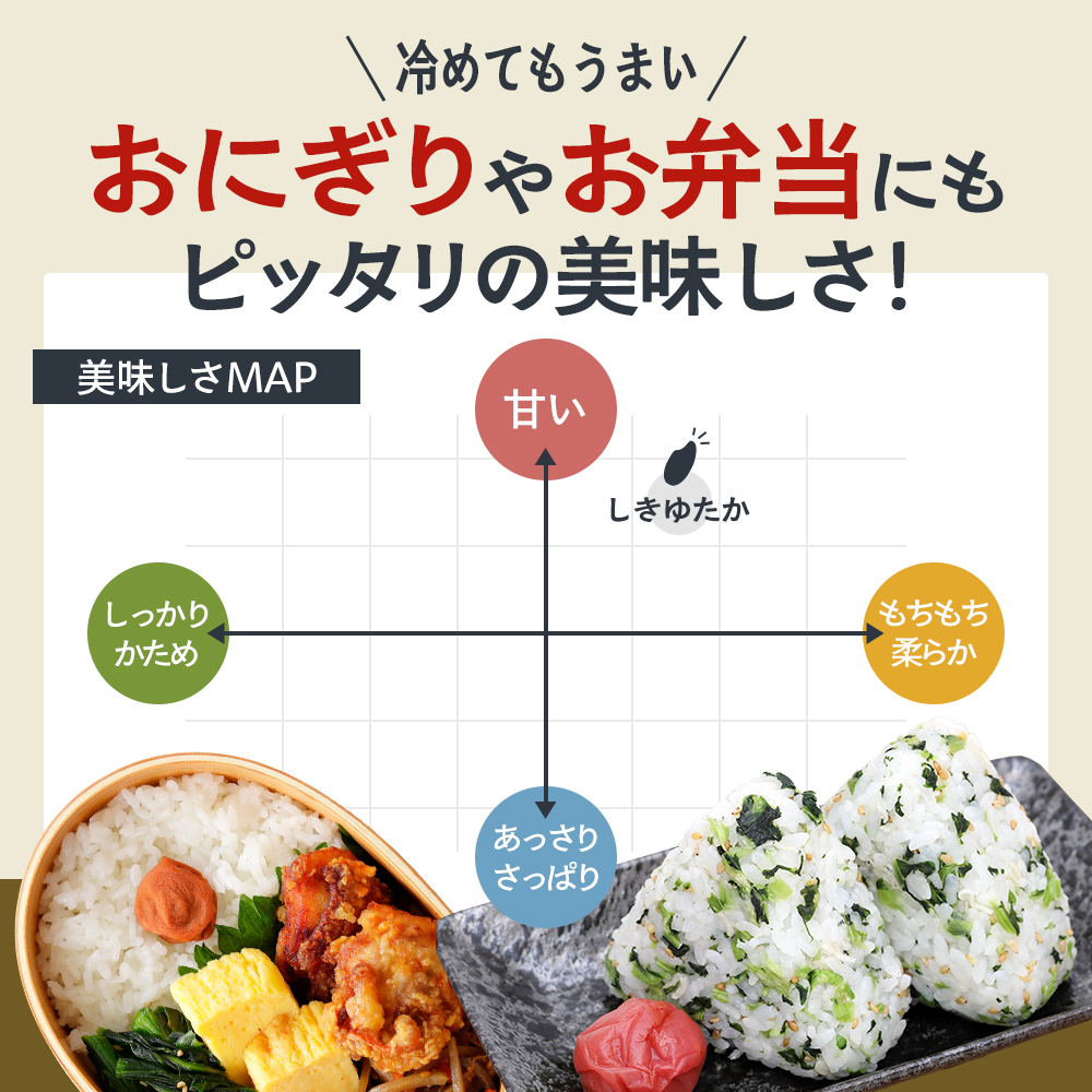 米 令和8年産 先行受付 しきゆたか 白米 10kg 3か月連続お届け お米 精米 単一原料米 お弁当 おにぎり 冷めても美味しい 農業支援 就労者支援 日用品