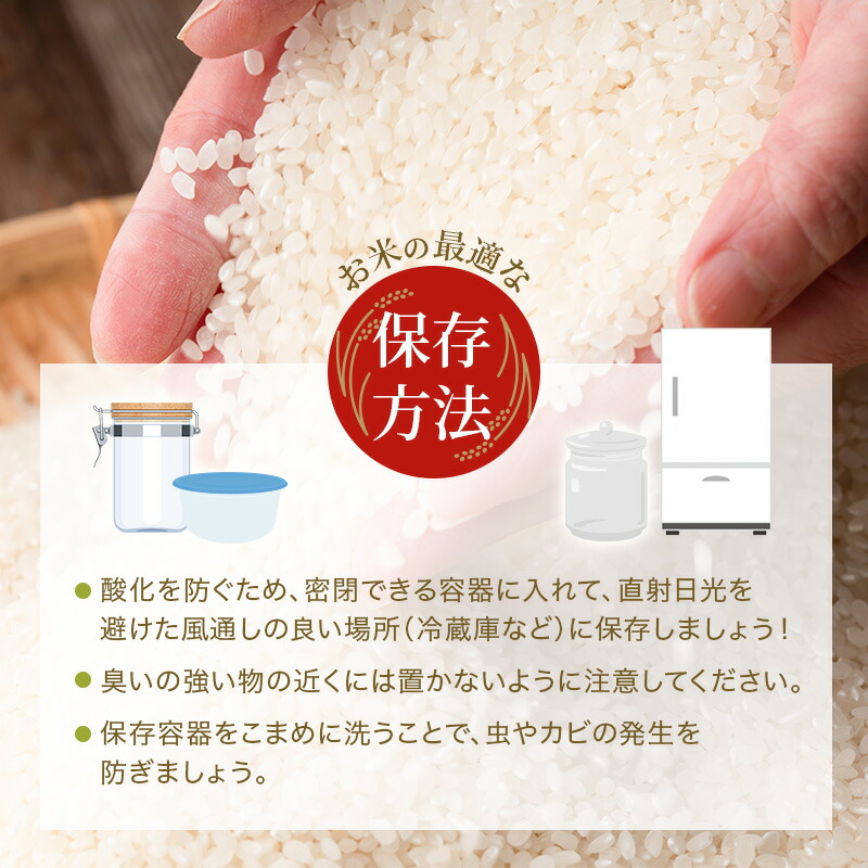 米 令和8年産 先行受付 しきゆたか 白米 10kg 3か月連続お届け お米 精米 単一原料米 お弁当 おにぎり 冷めても美味しい 農業支援 就労者支援 日用品