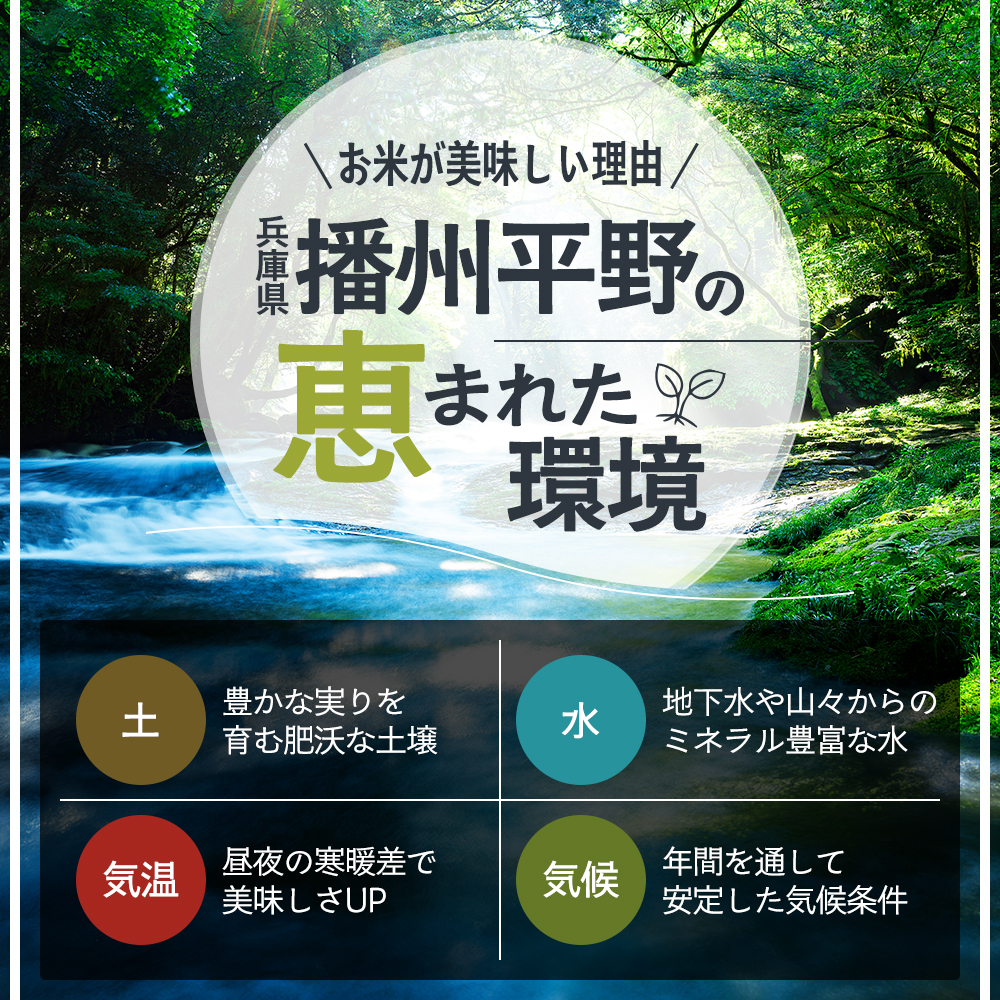 米 令和8年産 先行受付 しきゆたか 白米 5kg《2026年12月発送》 お米 精米 単一原料米 お弁当 おにぎり 冷めても美味しい 農業支援 就労者支援 日用品