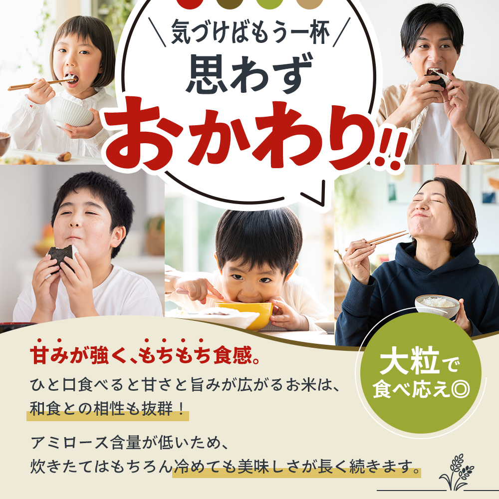 米 令和8年産 先行受付 しきゆたか 白米 5kg《2027年2月発送》 お米 精米 単一原料米 お弁当 おにぎり 冷めても美味しい 農業支援 就労者支援 日用品