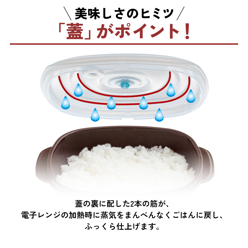 [ 真空おひつ ] 真空ポンプ付き 真空保存容器 電子レンジ対応 密閉 キッチン アサヒ軽金属