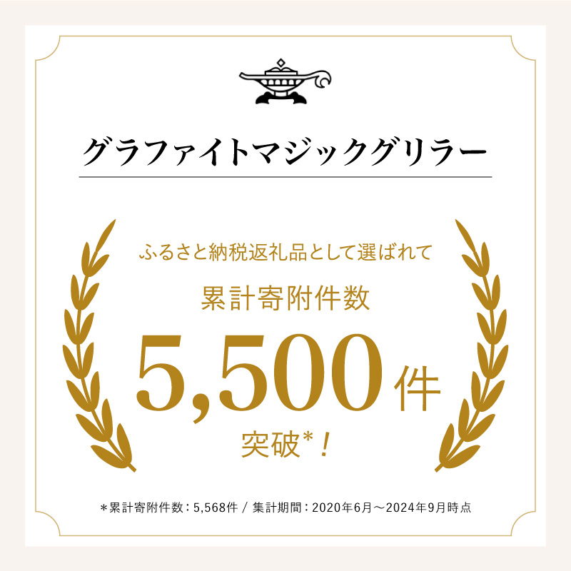 アラジン 訳あり 特別寄附額 グリーン 緑 グラファイトマジックグリラー Plus AMG-G1300A 過年度モデル Aladdin グラファイト マジックグリラー グリラー plus グラファイトグリラー ホットプレート 卓上プレート 調理家電