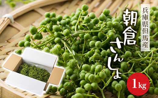 朝倉さんしょ 1kg 実山椒 生山椒 クール便 冷蔵 兵庫県産 お取り寄せ 産地直送【配送不可地域：離島】【1616574】