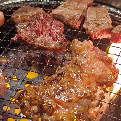 神戸ビーフ　焼き肉用(かた・もも)600g　YBY2【配送不可地域：離島】【1340603】