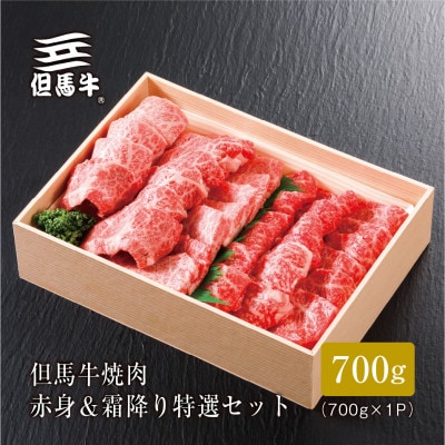 【但馬牛】焼肉 赤身＆霜降り 特選セット700g【配送不可地域：離島】【1313170】