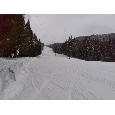 ハイパーボウル東鉢スキー場No.4★共通リフト券食事券付【大人1日券+食事券】【1694636】