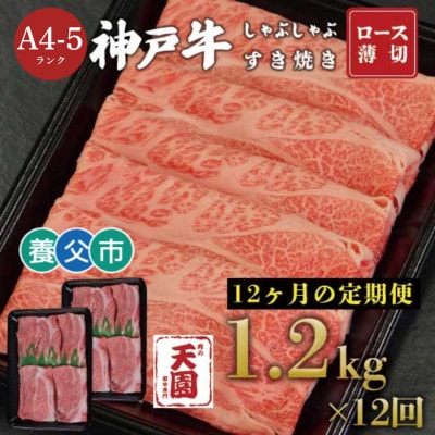 【毎月定期便】【ふるさと納税】神戸牛 霜降り 肩ロース しゃぶしゃぶすき焼き1200g×全12回【配送不可地域：離島】【4083899】