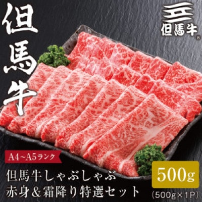 【但馬牛】しゃぶしゃぶ赤身＆霜降り 特選セット500g【配送不可地域：離島】【1313168】