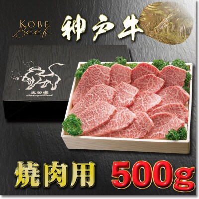 神戸牛 焼き肉用 かた・もも 500g YBY2 【2026年4月より順次発送】【配送不可地域：離島】【1681973】