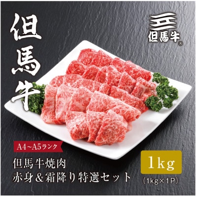 【但馬牛】 焼肉 赤身＆霜降り 特選セット1kg【配送不可地域：離島】【1313387】