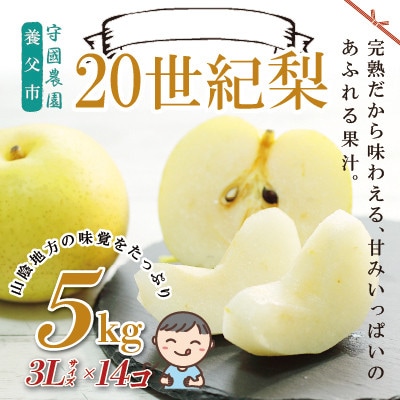 先行予約!守國農園 養父市産 二十世紀梨 5kg(3Lサイズ×14個)【1532421】