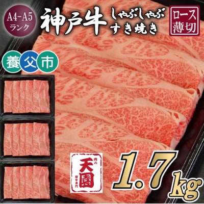 【ふるさと納税】【肉の天園】神戸牛 霜降り ロース(肩ロース)しゃぶしゃぶすき焼き1700g【配送不可地域：離島】【1703216】