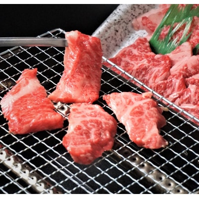 神戸牛　おすすめ5種焼肉 400g【化粧箱】【配送不可地域：離島】【1427616】