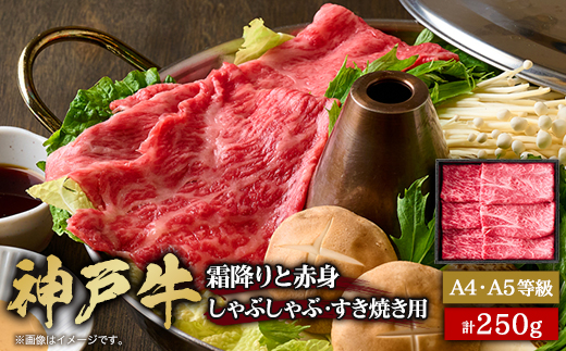 神戸牛霜降りと赤身のしゃぶしゃぶすき焼き250g【配送不可地域：離島】【1443131】