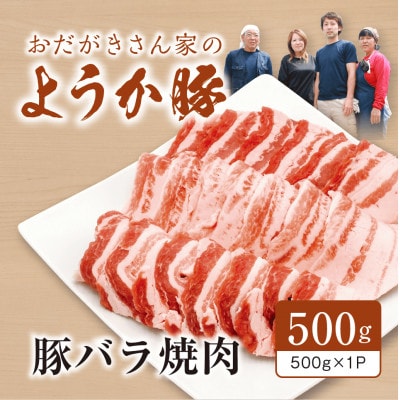 縲仙ォ鮖ソ雎壹代ヰ繝ゥ辟シ閧峨500gテ1P縲宣埼∽ク榊庄蝨ー蝓滂シ夐屬蟲カ縲代1735654縲