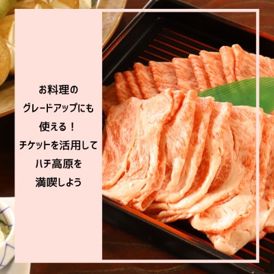 【宿泊や体験などに使える】このはなフリーチケット18,000円分【1373794】