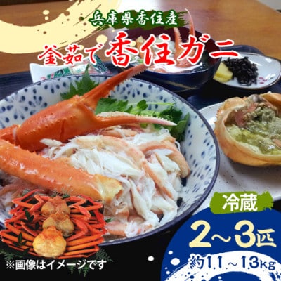 兵庫県香住産　釜茹で香住ガニ(紅ズワイガニ)2〜3匹入り(約1.1〜1.3kg)【9月中旬以降発送】【配送不可地域：離島・北海道・沖縄県・東北・関東・九州】【1512434】