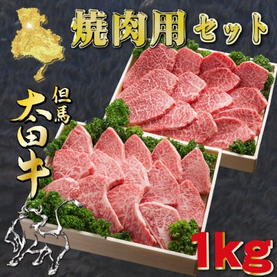 但馬 太田牛 焼肉セット 計1kg OYS5【配送不可地域：離島】【1737500】
