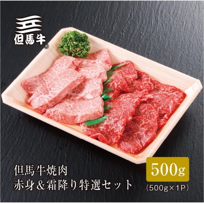 【但馬牛】焼肉 赤身＆霜降り 特選セット500g【配送不可地域：離島】【1313161】