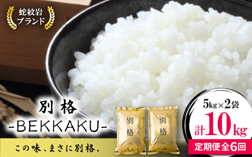 【毎月定期便】蛇紋岩ブランド 別格米 10kg(5kg×2)全6回【4071055】