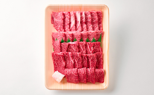 【但馬牛】焼肉 赤身&霜降り 特選セット500g【配送不可地域：離島】【1313161】