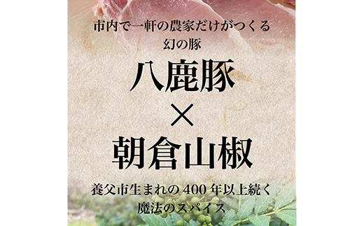 八鹿豚味わう養父餃子(要冷凍/12個入り)×2パック【配送不可地域：離島】【1418071】