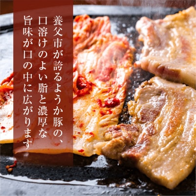 縲仙ォ鮖ソ雎壹代ヰ繝ゥ辟シ閧峨500gテ1P縲宣埼∽ク榊庄蝨ー蝓滂シ夐屬蟲カ縲代1735654縲