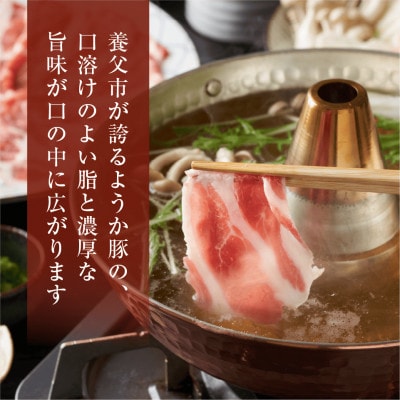【八鹿豚】ももスライス　500g×1P【配送不可地域：離島】【1735655】
