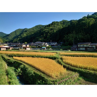 自家栽培・挽きたて小麦の天然酵母パンセット【配送不可地域：離島】【1697748】