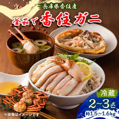 兵庫県香住産　釜茹で香住ガニ(紅ズワイガニ)2〜3匹入り(約1.5〜1.6kg)【9月上旬以降発送】【配送不可地域：離島・北海道・沖縄県・東北・九州】【1091751】